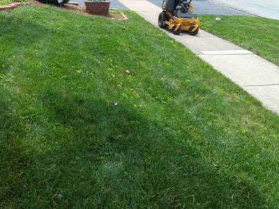 Lawn Care service in Roselle, 60172