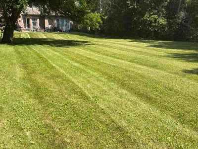 Lawn Care service in Roselle, 60172