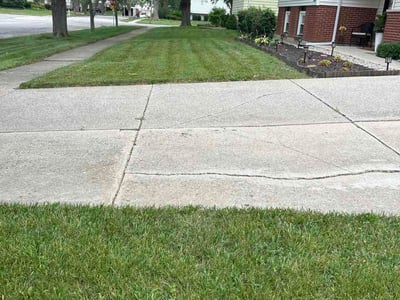 Lawn Care service in Park Forest, 60466