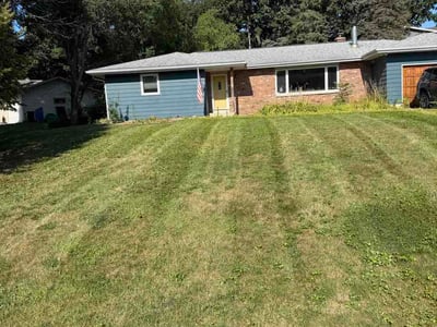 Lawn Care service in Stoughton, 02072