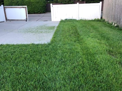 Lawn Care service in Cedarburg, 53012