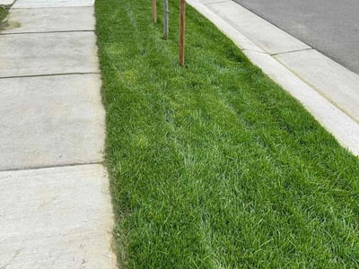 Lawn Care service in Franklin, 02038