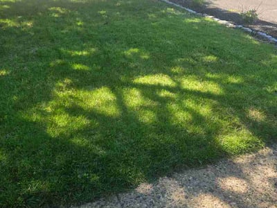 Lawn Care service in Voorhees, 08043