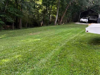 Lawn Care service in Locust Grove, 30248