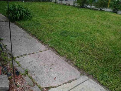 Lawn Care service in Park Ridge, 60068