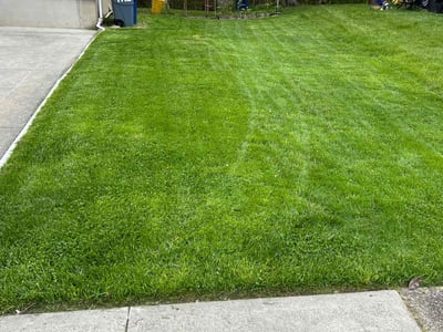 Lawn Care service in Gloucester City, 08030