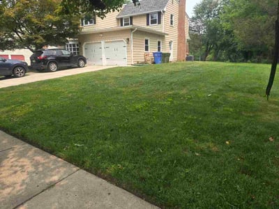 Lawn Care service in Cherry Hill, 08002