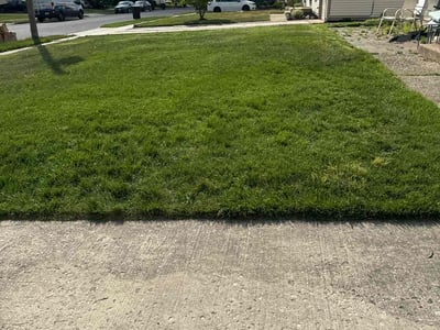 Lawn Care service in Gloucester City, 08030
