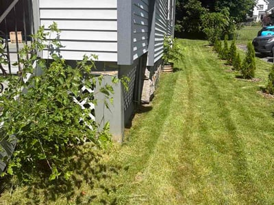 Lawn Care service in Saratoga Springs, 12866