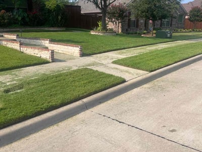 Lawn Care service in Frisco, 75033