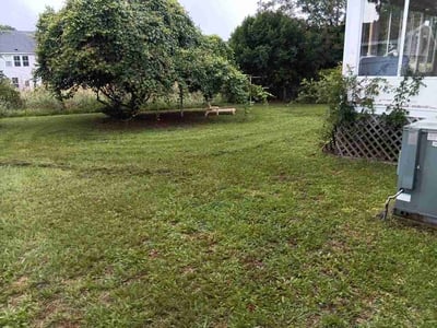 Lawn Care service in Rock Hill, 29730