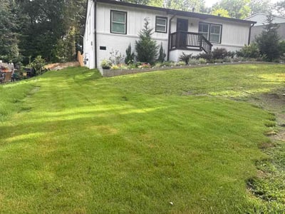 Lawn Care service in Somerville, 02143