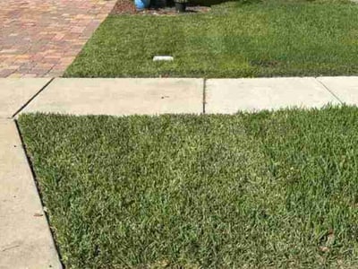 Lawn Care service in Dorchester, 02122