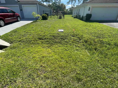 Lawn Care service in Somerville, 02143