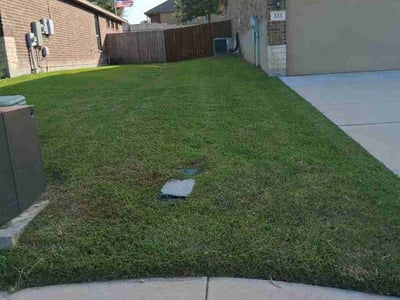 Lawn Care service in Cibolo, 78108