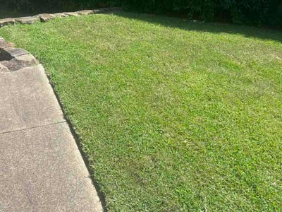 Lawn Care service in Garland, 75040