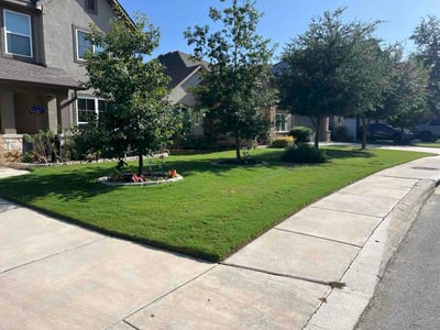 Lawn Care service in Cibolo, 78108