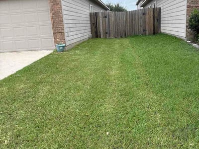 Lawn Care service in Quincy, 02169