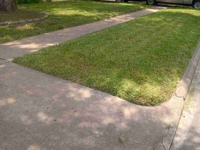 Lawn Care service in Quincy, 02169