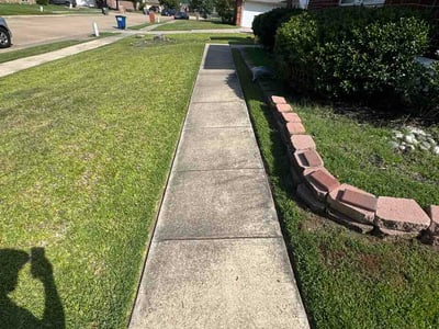 Lawn Care service in Sachse, 75048