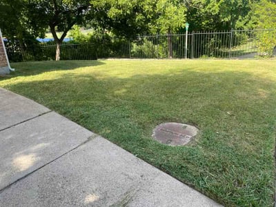 Lawn Care service in Sachse, 75048