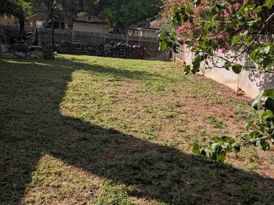 Lawn Care service in Buda, 78610