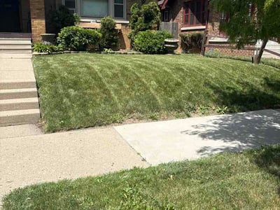 Lawn Care service in Greenfield, 53220