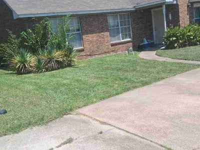 Lawn Care service in Roanoke, 76262