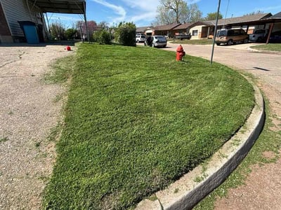 Lawn Care service in Woburn, 01801