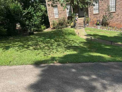 Lawn Care service in Pell City, 35125