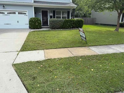 Lawn Care service in Toano, 23168