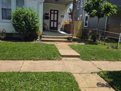 Lawn Care service in Edgewater, 21037