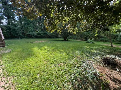 Lawn Care service in Edgewater, 21037