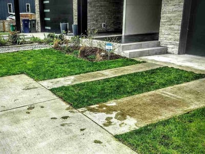 Lawn Care service in Issaquah, 98027