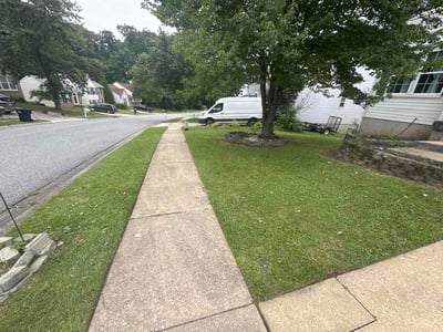 Lawn Care service in Edgewater, 21037