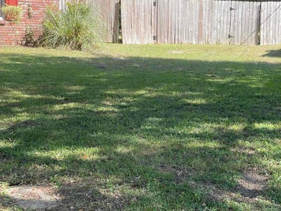 Lawn Care service in Issaquah, 98027