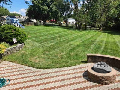 Lawn Care service in Edgewater, 21037