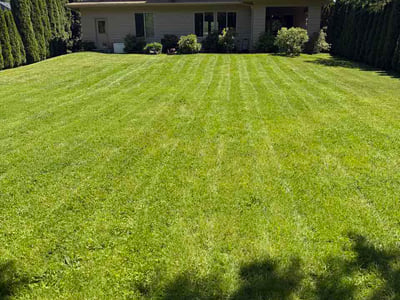 Lawn Care service in Bothell, 98011