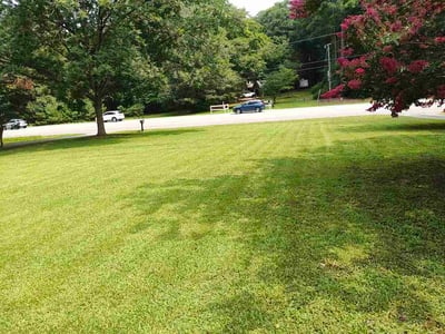 Lawn Care service in Gloucester, 23061