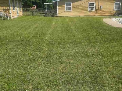 Lawn Care service in Dedham, 02026