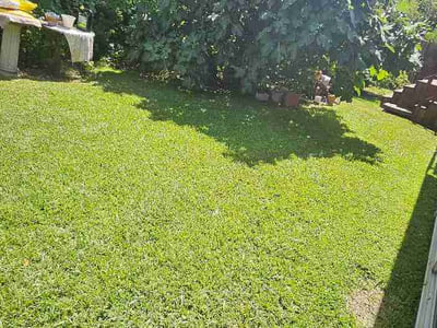 Lawn Care service in Lancaster, 75146