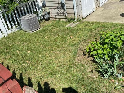 Lawn Care service in Camden, 08104