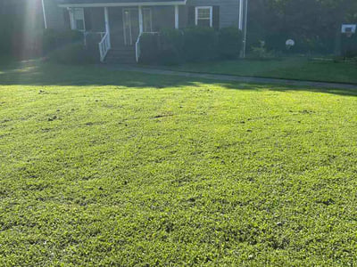 Lawn Care service in Hixson, 37343