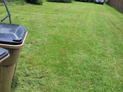 Lawn Care service in Gallatin, 37066
