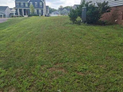Lawn Care service in Chester, 23831