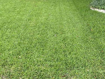 Lawn Care service in Wimberley, 78676