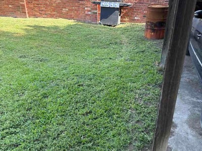 Lawn Care service in Red Oak, 75154