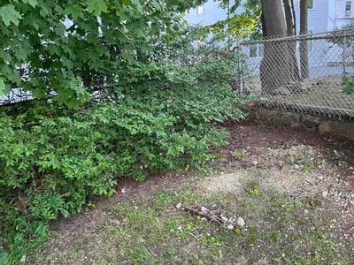 Lawn Care service in Bridgewater, 02324