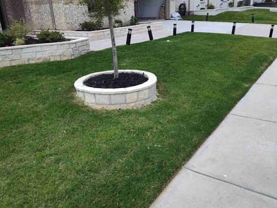Lawn Care service in Red Oak, 75154