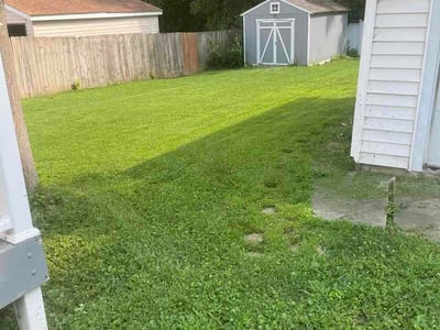 Lawn Care service in Ogden, 84403